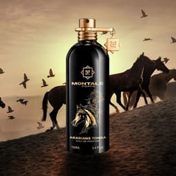 MONTALE PARIS ARABIAN TONKA – Eau de Parfum (100ml)